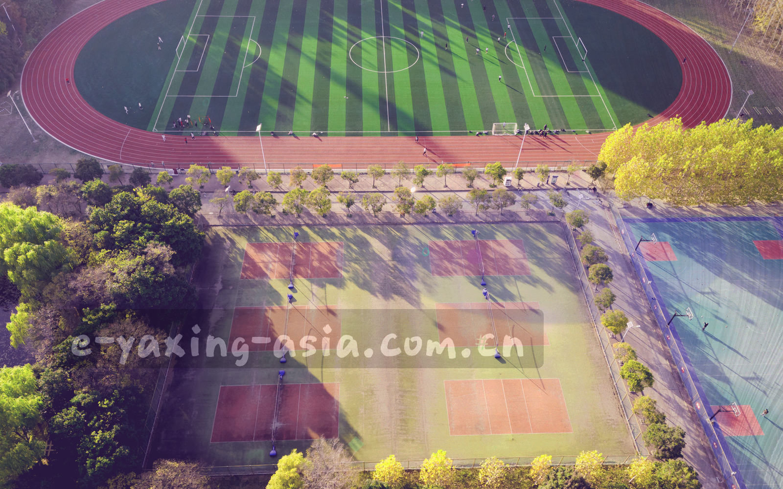 抽象赛区地图插画，七块赛区分区以不同深浅的青绿色块填充，节点圆点大小对应球场容量档位